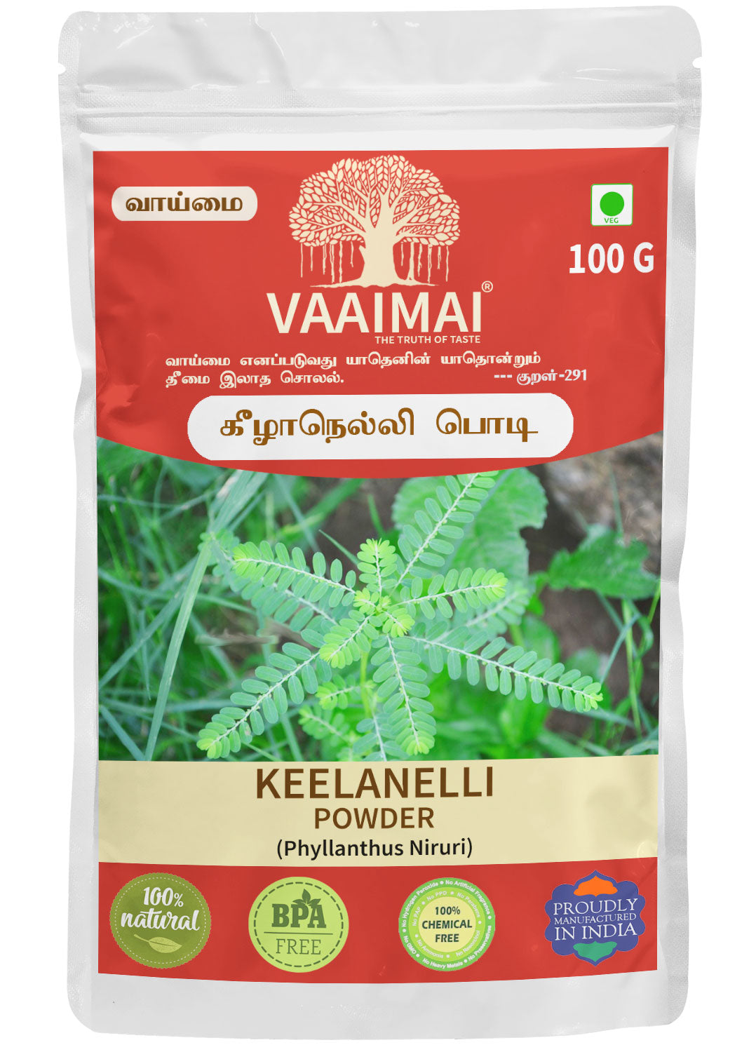 Keelanelli Powder - Phyllanthus Niruri
