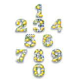 lemon-checked-numbers-1