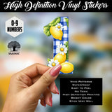 lemon-checked-numbers-3