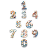 seashell-numbers-1