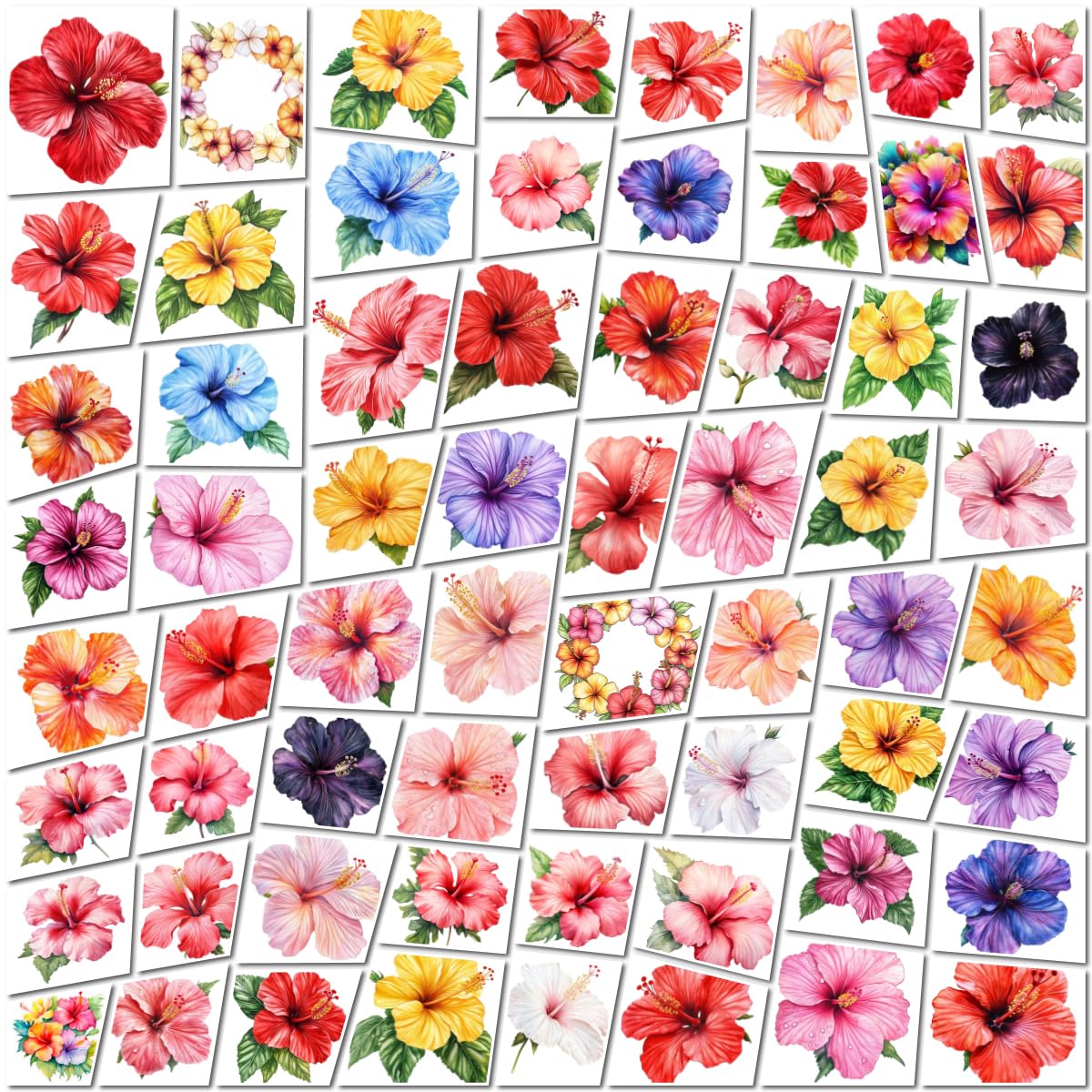 Hibiscus_Flower_Stickers_5